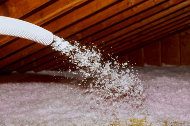 Best Insulation Materials and Products in Merrionette Park, IL