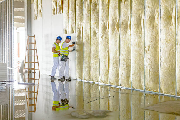 Best Commercial Insulation in Merrionette Park, IL